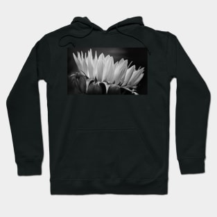 Sunflower in Black & White Hoodie